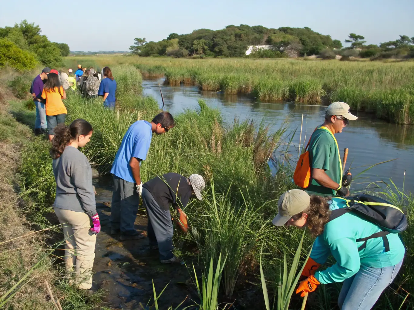 A photograph showcasing a group of volunteers participating in a community education program, learning about local biodiversity and ecosystem preservation techniques.